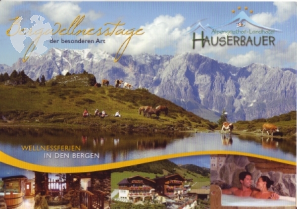 Dorfgastein - A 2010 95 001 ●